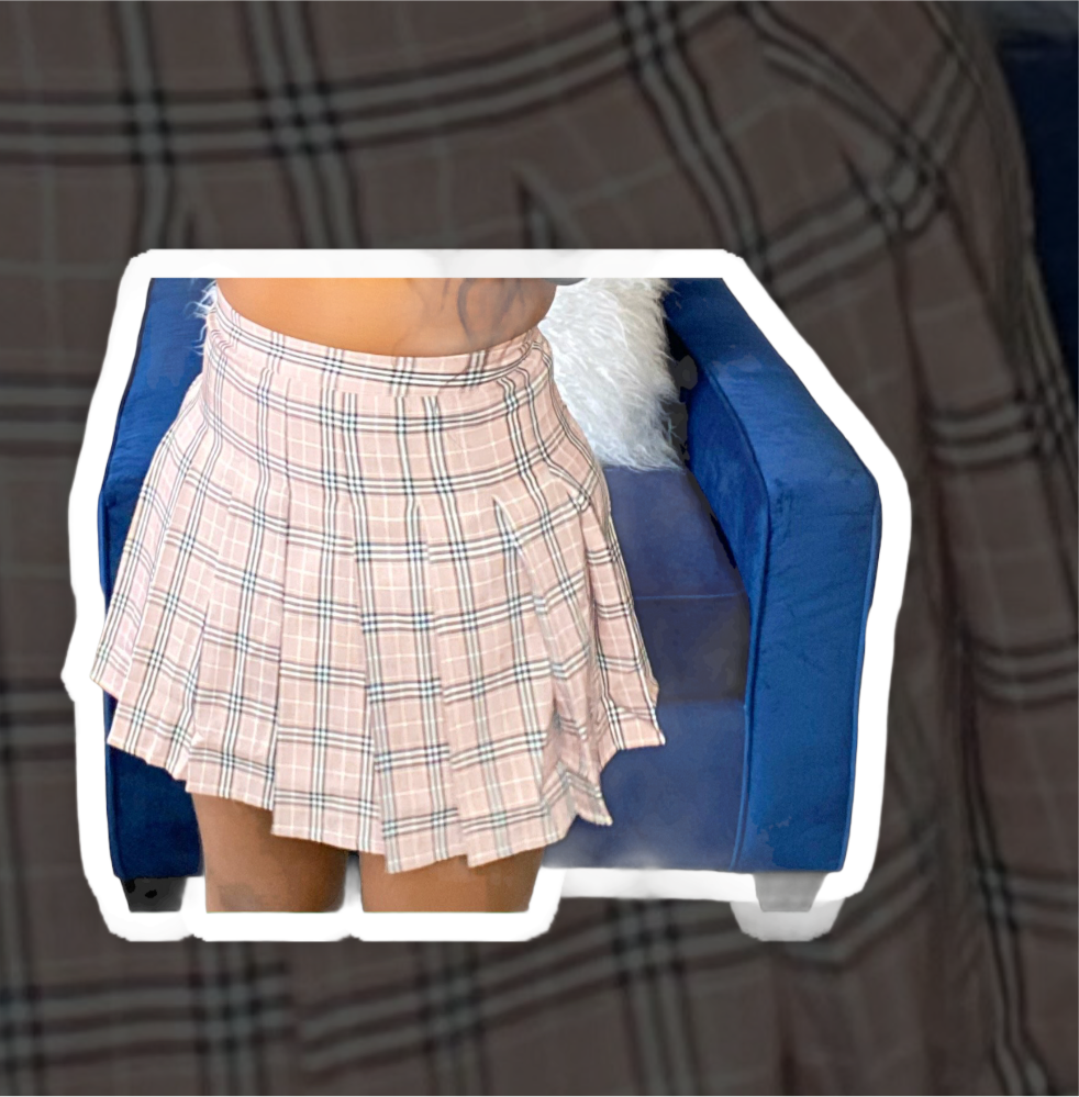 Schoolin’ Life Skirt